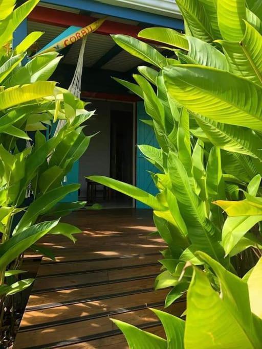 Secteur Prise, Bungalow Corail, Residence Casa Boubou 상트 안느 외부 사진