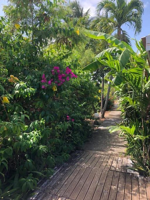 Secteur Prise, Bungalow Corail, Residence Casa Boubou 상트 안느 외부 사진