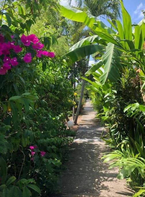 Secteur Prise, Bungalow Corail, Residence Casa Boubou 상트 안느 외부 사진