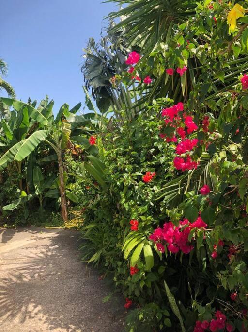 Secteur Prise, Bungalow Corail, Residence Casa Boubou 상트 안느 외부 사진
